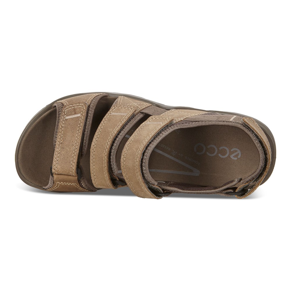 ECCO Mens Sandals Brown - Offroad Flat - GIH-947150